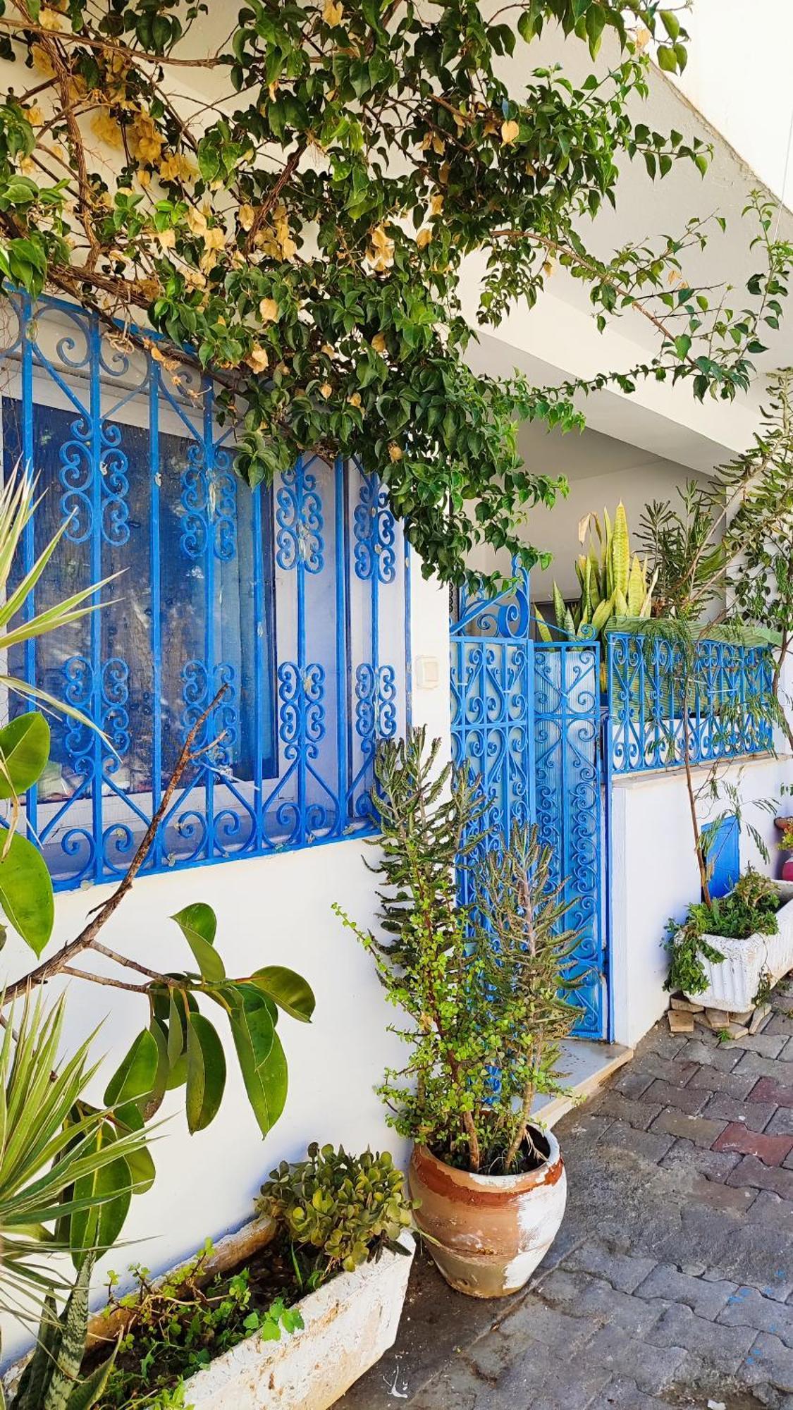 Cosy Appartement In "Sidi Bou Said" Esterno foto