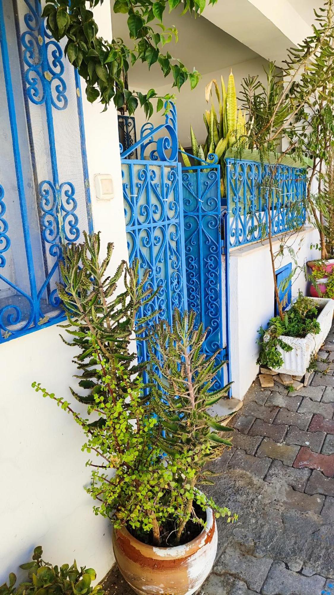 Cosy Appartement In "Sidi Bou Said" Esterno foto